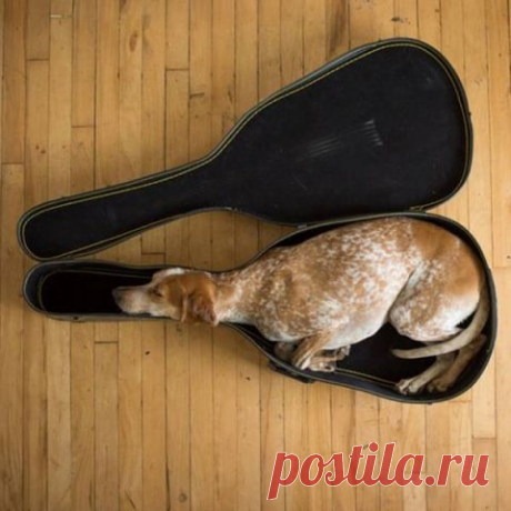 Вдохновение