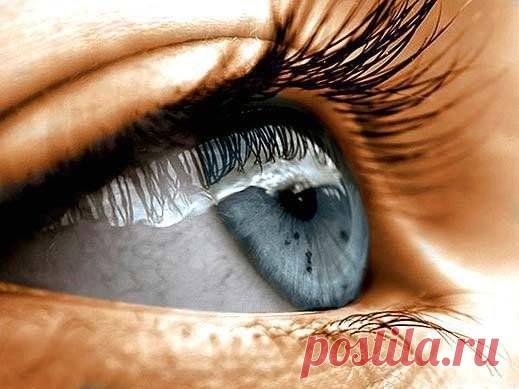 Настойка для восстановления зрения - Версия для печати. Medpulse.ru