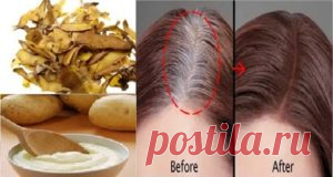 Картофельные очистки от седины: как готовить и использовать?