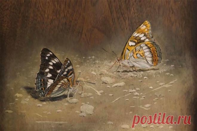 Японский художник вырезает из дерева потрясающие скульптуры, которые