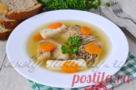 Заливное из щуки, пошаговый рецепт с фото с желатином