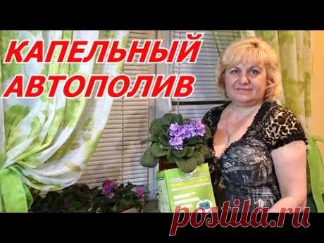 Сенполии - капельный автополив для успешных цветоводов !!!...