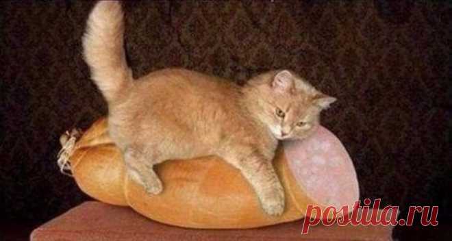 Чтоб мы так жили!