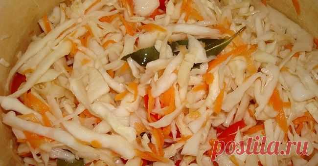 Маринованная капуста быстрого приготовления