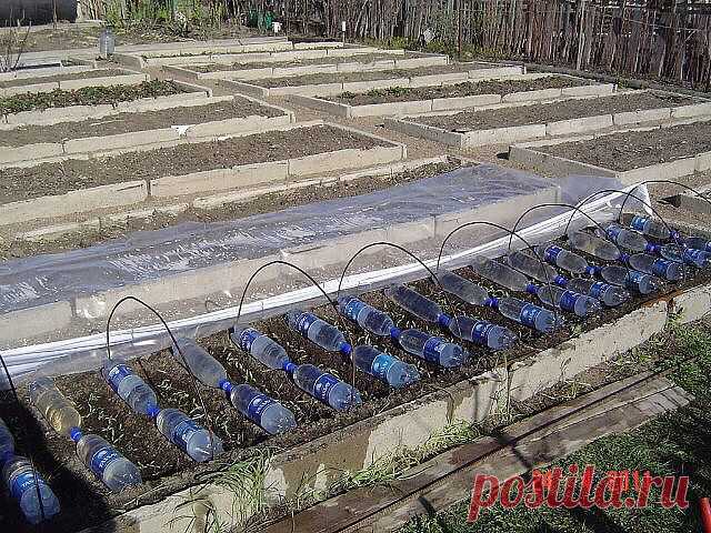 Обогрев грядок горячей водой