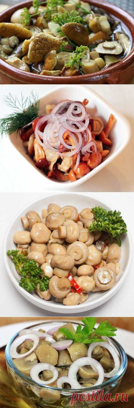Кто не любит ароматные маринованные грибочки? Лучшие рецепты — Вкусные рецепты