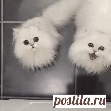 Утро начинается не с кофе, утро начинается с 