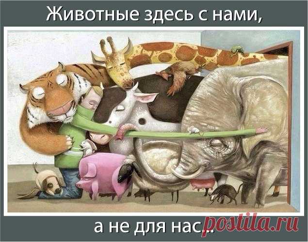 Новости