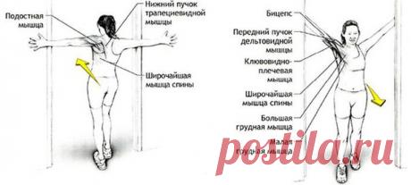 Комплекс упражнений при остеохондрозе 

Прежде чем начать оздоровительную гимнастику - надо немного повисеть. Дома или на работе оборудуйте простейший мини-тренажер. 

В продаже имеются настенные комплексы, включающие турник, шведскую стенку и (в разных модификациях) набор эспандеров. Если нет возможности все это приобрести, возьмите отрезок водопроводной трубы и вставьте в дверной проем. На турнике или на шведской стенке можно выполнять множество упражнений на развитие пр...