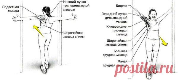 Комплекс упражнений при остеохондрозе 

Прежде чем начать оздоровительную гимнастику - надо немного повисеть. Дома или на работе оборудуйте простейший мини-тренажер. 

В продаже имеются настенные комплексы, включающие турник, шведскую стенку и (в разных модификациях) набор эспандеров. Если нет возможности все это приобрести, возьмите отрезок водопроводной трубы и вставьте в дверной проем. На турнике или на шведской стенке можно выполнять множество упражнений на развитие пр...