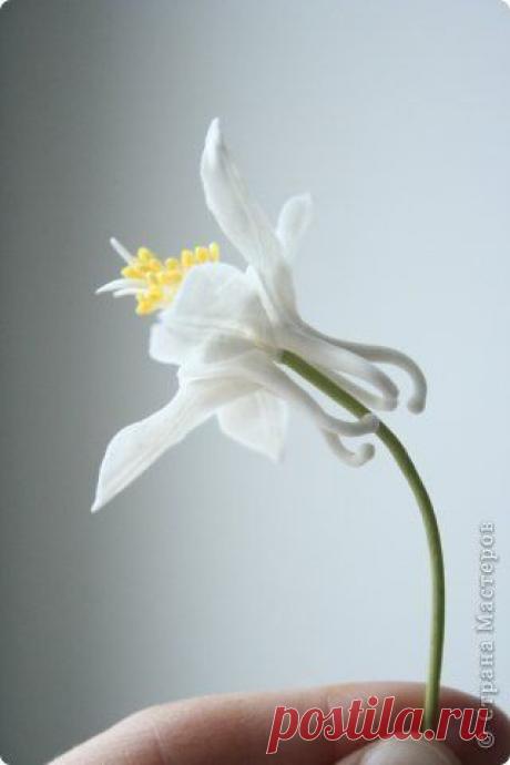 Найдено на сайте stranamasterov.ru.