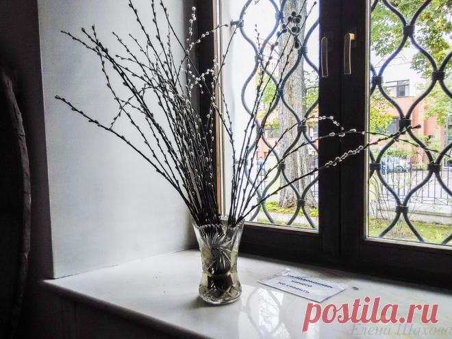 Храм Тихвинской иконы Божией Матери в Сущеве: matilda_i_ja