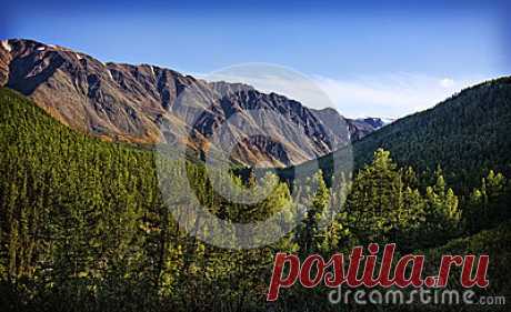 Stock Photos, Royalty-Free Images & Video Footage By Dreamstime Stock Photography