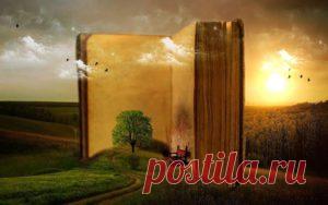 Как выйти из круга обид, боли, страха и ……. — Инсайты