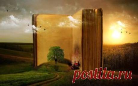 Как выйти из круга обид, боли, страха и ……. — Инсайты