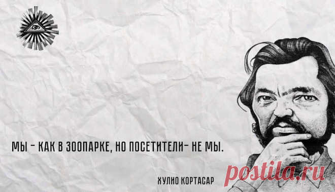 Словами умных о счастливом одиночестве. Они правы?
Орлы летают одиноко, бараны пасутся в стаде. Эту фразу прочитала и стала...
Читай дальше на сайте. Жми подробнее ➡