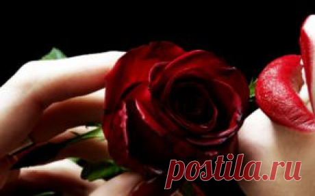 Цветы обои на рабочий стол - страница 11