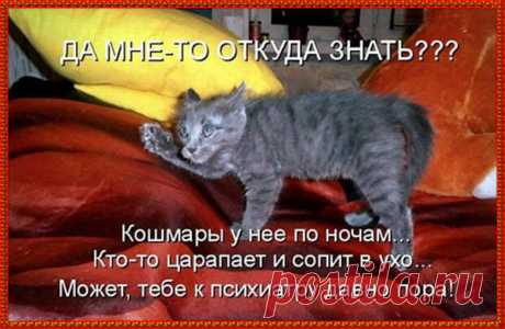 Большинство проблем возникает на ровном месте. Поэтому есть претензии к ровным местам - Веселуха - медиаплатформа МирТесен Мужчин надо удивлять.Вот приходит он с работы домой, а ты квартиру в карты проиграла.Неожиданно? Неожиданно! - Собирайся.- Куда?- Ты идешь к черту. Мир потихоньку сходит с ума. Заголовок на одном сайте:"Выбежавший на футбольное поле голый мужчина был без маски"Американцы совсем