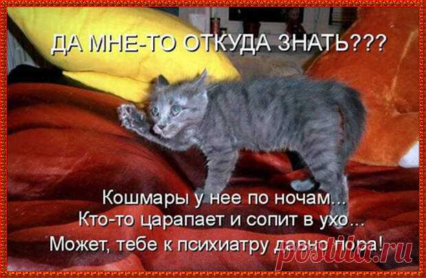 Большинство проблем возникает на ровном месте. Поэтому есть претензии к ровным местам - Веселуха - медиаплатформа МирТесен Мужчин надо удивлять.Вот приходит он с работы домой, а ты квартиру в карты проиграла.Неожиданно? Неожиданно! - Собирайся.- Куда?- Ты идешь к черту. Мир потихоньку сходит с ума. Заголовок на одном сайте: