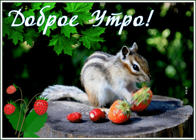 Открытка доброе утро с клубникой