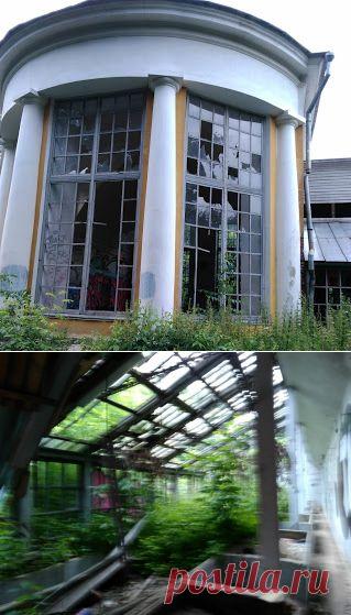 Оранжерея усадьбы Покровское - стрешнево.