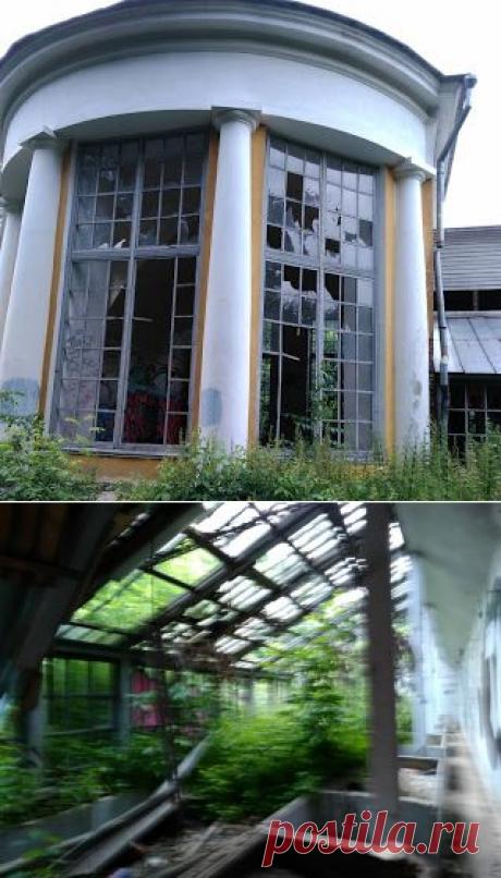 Оранжерея усадьбы Покровское - стрешнево.