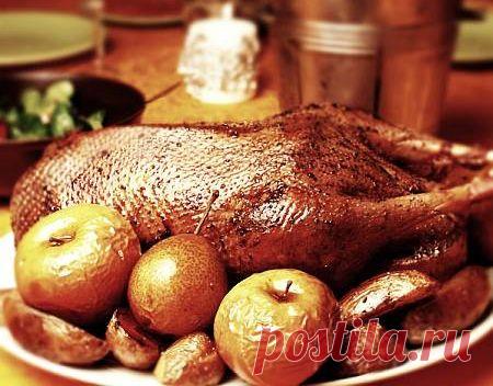 Как приготовить утку в духовке — Кулинарная энциклопедия Овкусе.ру