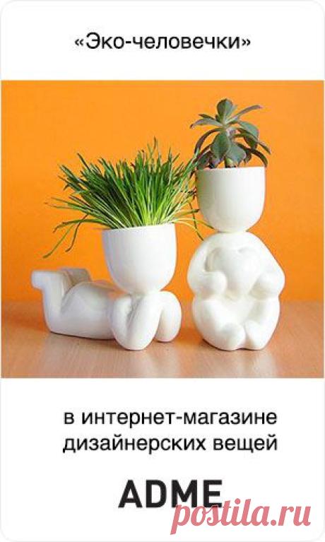 Как все начиналось