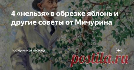 4 «нельзя» в обрезке яблонь и другие советы от Мичурина | посуДАЧИм об огороде | Яндекс Дзен