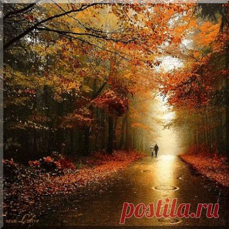 Лара Солодова