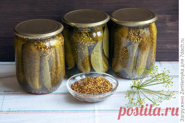 Огурчики маринованные с готовой 
