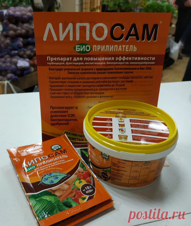 Полезная штука, которой почти никто не пользуется в саду, а зря. Про прилипатели | Цветочная няша | Дзен
