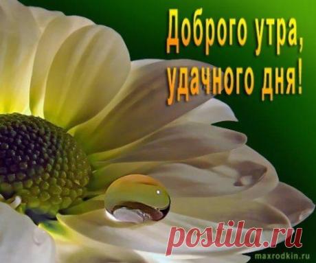 (52) Одноклассники