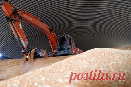 Россия и ООН начали новые переговоры по зерновой сделке. В Женеве начались новые переговоры по зерновой сделке. Замглавы МИД РФ Сергей Вершинин и глава делегации ООН, генеральный секретарь ЮНКТАД Ребека Гринспен «консультируются по реализации Меморандума о взаимопонимании между Россией и ООН по продвижению российского продовольствия и удобрений на мировые рынки».