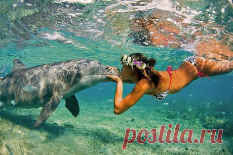 Как фотографировать под водой?