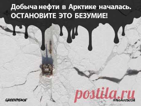 Несколько дней назад, по сообщениям СМИ, «Газпром нефть шельф» отправил первый танкер с единственной в мире платформы на арктическом шельфе. То есть первый танкер с первой арктической нефтью. 

Гринпис призывает отказаться от рискованной и дорогостоящей добычи нефти на Арктическом шельфе! Поставьте свою подпись против бурения в Арктике! www.savethearctic.org