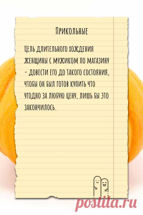 Цитата про «Приколы» — Цель длительного хождения женщины с мужиком по…