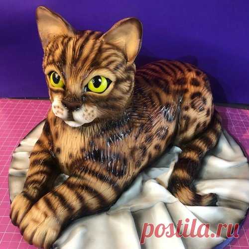 3D-торты от Молли Роббинс