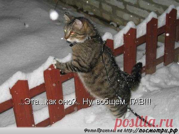Интересные новости