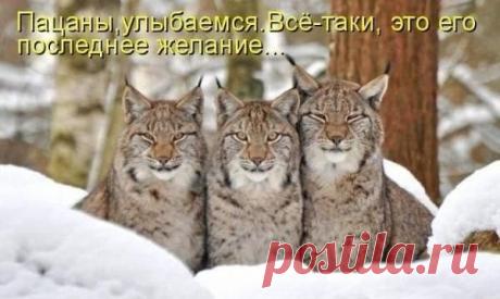 (24) Одноклассники