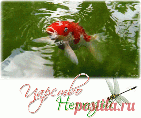 (4) Мой Мир@Mail.Ru