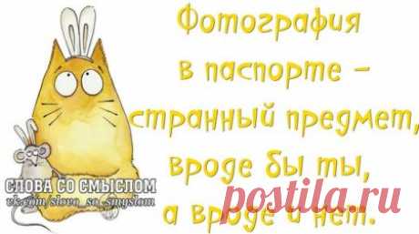 (+2) Позитивные фразочки в картинках для хорошего настроения