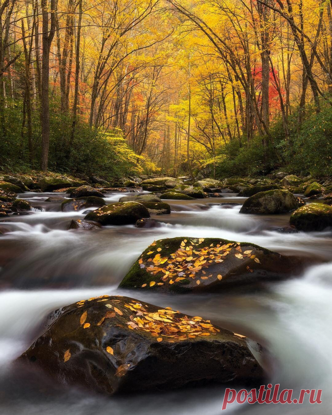 i (1080×1350)