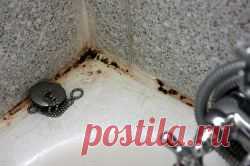 Как избавиться от плесени в квартире