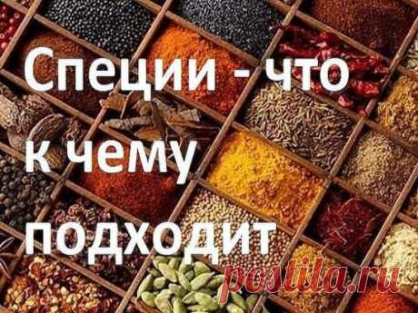 СПЕЦИИ – ЧТО К ЧЕМУ ПОДХОДИТ