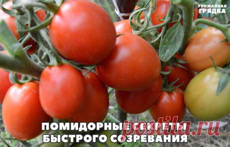 (49) Одноклассники