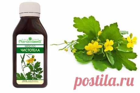 Как лечить грибок ногтей чистотелом