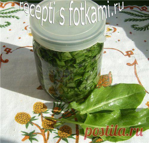 Щавель на зиму в банках.