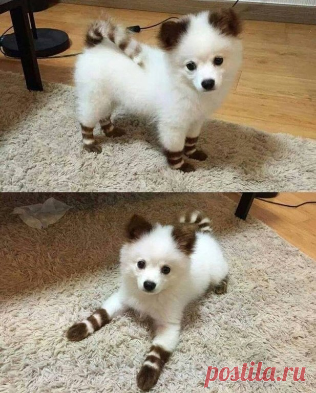 В носочках))