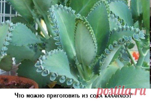 Календарь садовода